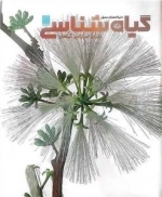 دایره المعارف گیاه شناسی