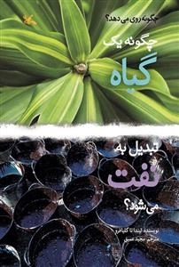 چگونه یک گیاه تبدیل به نفت می شود
