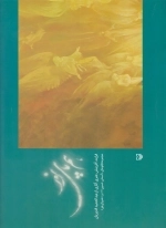 هم پای نور
