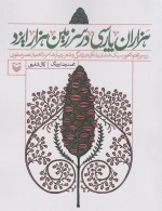 هزاران پارسی در سرزمین هزار ایزد