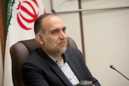 سید مجید امامی