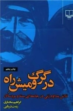 در گرگ و میش راه