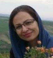 نوشین شعبانی