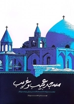 مسجد عجیب و غریب