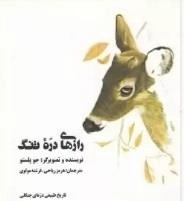 رازهای دره تنگ