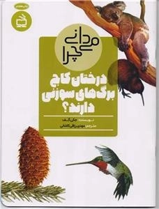 می دانی چرا درختان کاج برگ های سوزنی دارند و پرسش های دیگر درباره ی درختان