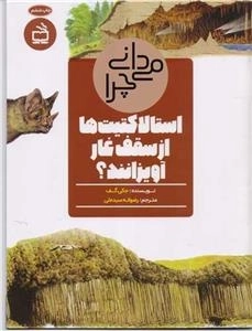 می دانی چرا استالاکتیت ها از سقف غار آویزان اند - و پرسش های دیگر درباره غارها