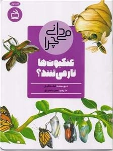 می دانی چرا عنکبوت ها تار می تنند - و سوال های دیگر درباره حشرات