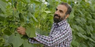 محسن صالحی حاجی آبادی