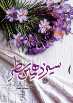 سیزدهمین سطر - جهادگر شهید حسین نجفی به روایت همسر