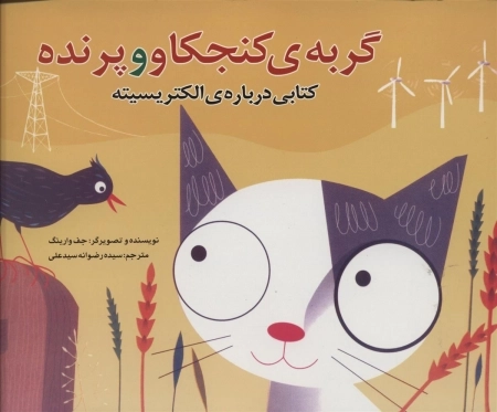 گربه کنجکاو و پرنده - کتابی درباره الکتریسیته