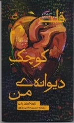 قلب کوچک دیوانه من