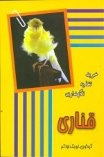 قناری -خرید تغذیه و نگهداری