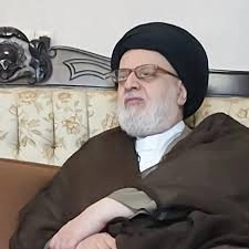 سیداحمد رضوی