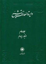 دایره المعارف تشیع - جلد دوم - اخبار - ایهام