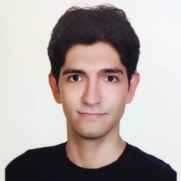 امیر محمد جوادی