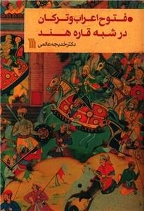 فتوح اعراب و ترکان در شبه قاره هند