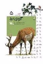 گوزن زرد - مجموعه آهای مواظب ما باشید 5