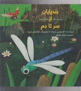 بندپایان از سر تا دم