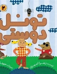 تونل دوستی