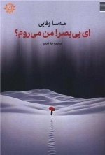 ای بی صبر من می روم