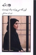 این که می وزد باد نیست