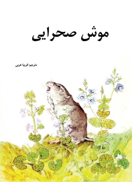 موش صحرایی