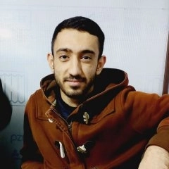 علی کاملی