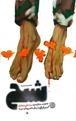 شبح