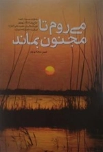 می روم تا مجنون بماند