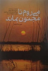 می روم تا مجنون بماند