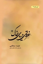 غرقه ی دریای خاک