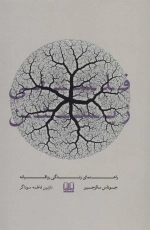 فلسفی زیستن - راهنمای زندگی رواقیانه