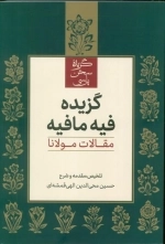 گزیده فیه مافیه - مقالات مولانا