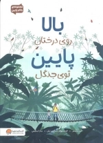 بالا روی درختان پایین توی جنگل