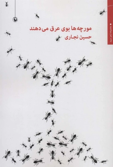 مورچه ها بوی عرق می دهند