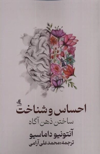 احساس شناخت و شناخت - ساختن ذهن آگاه