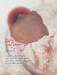 کتاب صوتی فصل شیدایی لیلاها - علی شجاعی