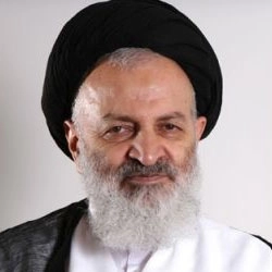سید محسن خرازی