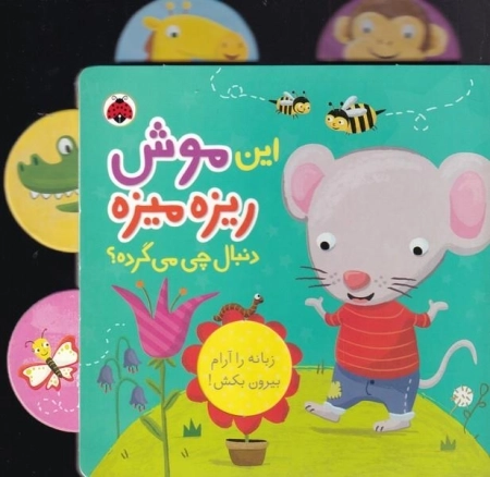 دنبال چی می گرده - این موش ریزه میزه